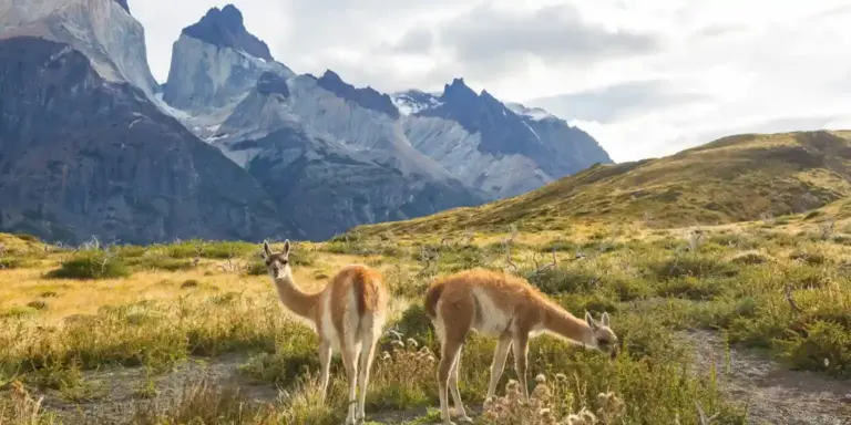 argentina 1536x768 2