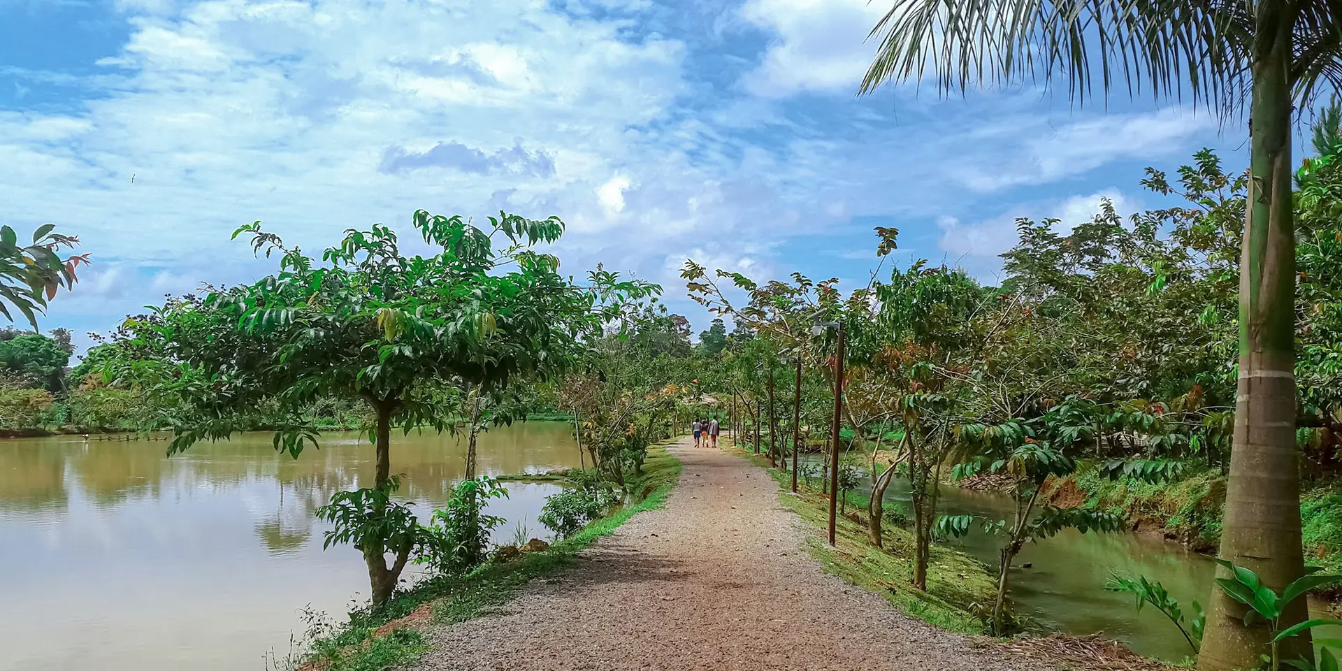 cameroon-global-payroll-simplified-peoplepay-global